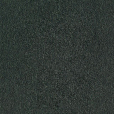 Ковровая плитка Interface Superflor 9165 Pineforest фото 1 | FLOORDEALER